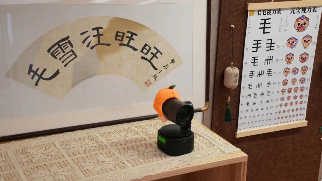 《毛雪汪 2025》录制现场使用 15 台寻影 Tail 2，实现轻量化真人秀拍摄