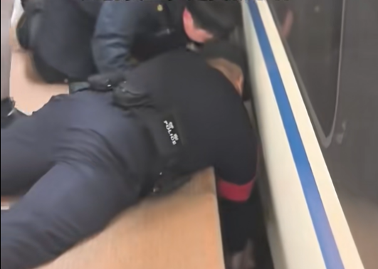 一幼儿踩空跌落站台与列车间隙，南京南站回应