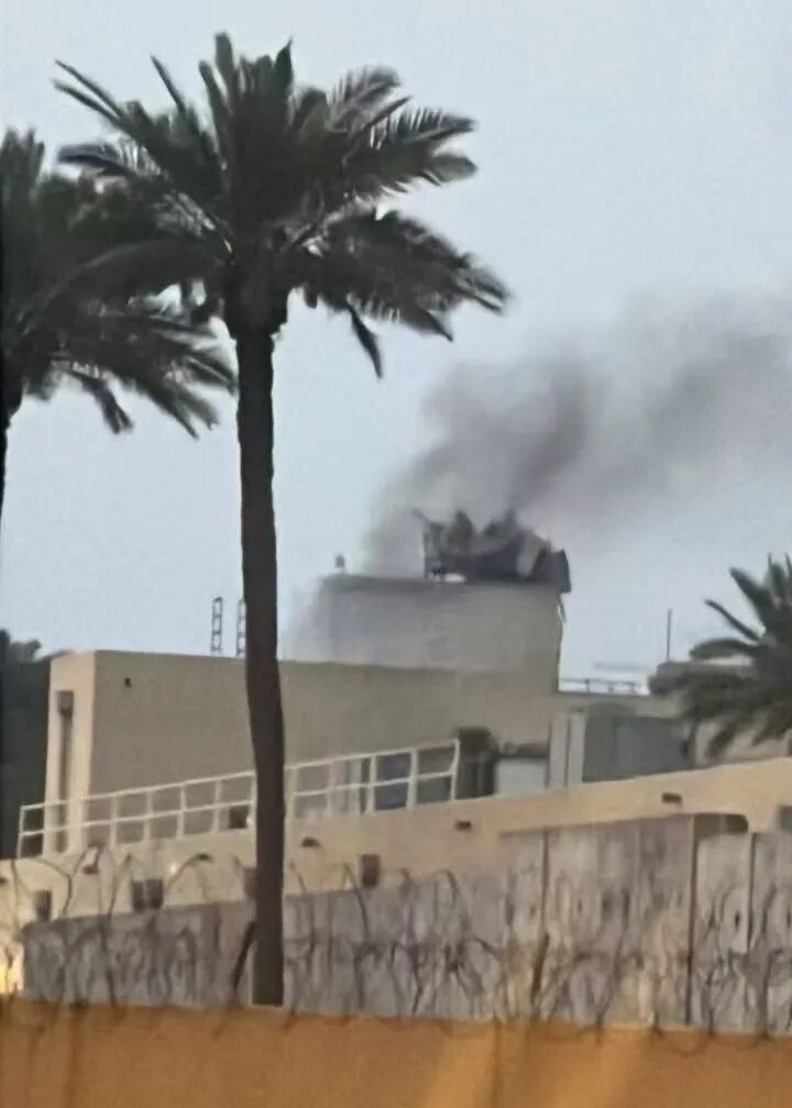 猫猫耶24小时自助下单，如何轻松养宠新体验？