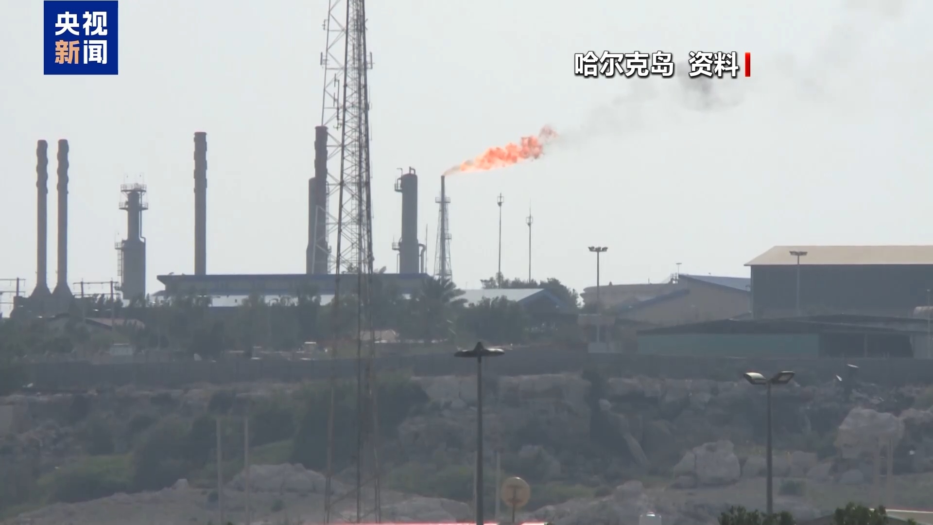 抖音24小时秒单业务，揭秘高效变现秘诀？