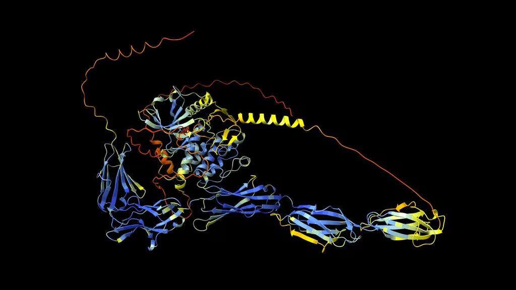 AlphaFold为Rosie癌症制作的3D建模图