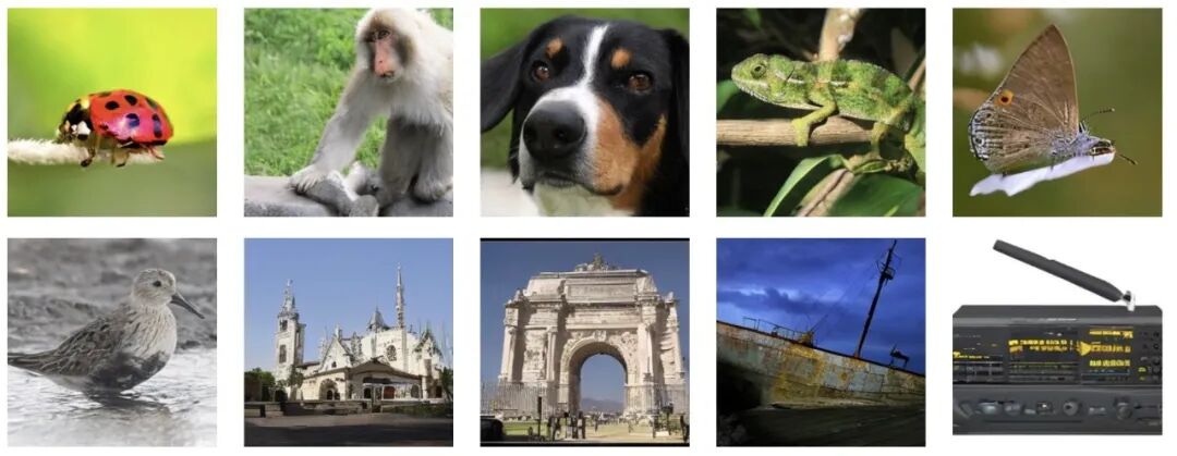 NaLaDiT 生成图片可视化