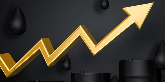 抖音涨双击播放量，最便宜量网站是哪个？