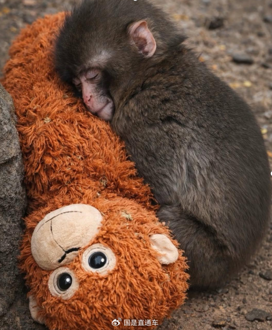 想要被世界拥抱，我们要先成为那个敢拥抱的人