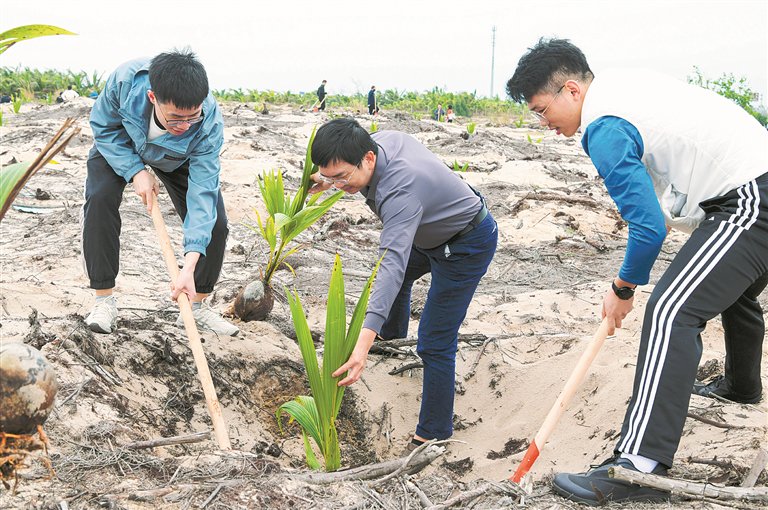画里有话丨种下一棵树 收获一片林