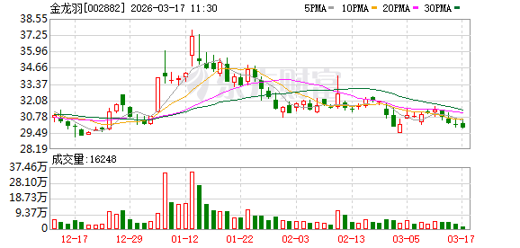抖音业务福利揭秘：如何通过网站轻松获取？