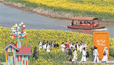 画里有话丨“赏花经济”焕发勃勃生机