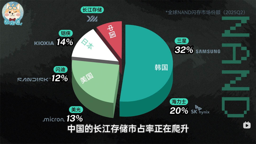 出处：【柴知道】B站视频截图
