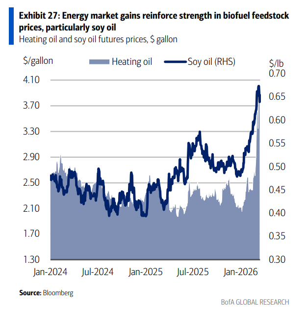 （圖：能源市場的上漲鞏固了生物燃料原料（特別是豆油）價格的強勢）