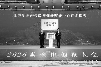 江苏知识产权数智创新赋能中心正式揭牌成立。资料图