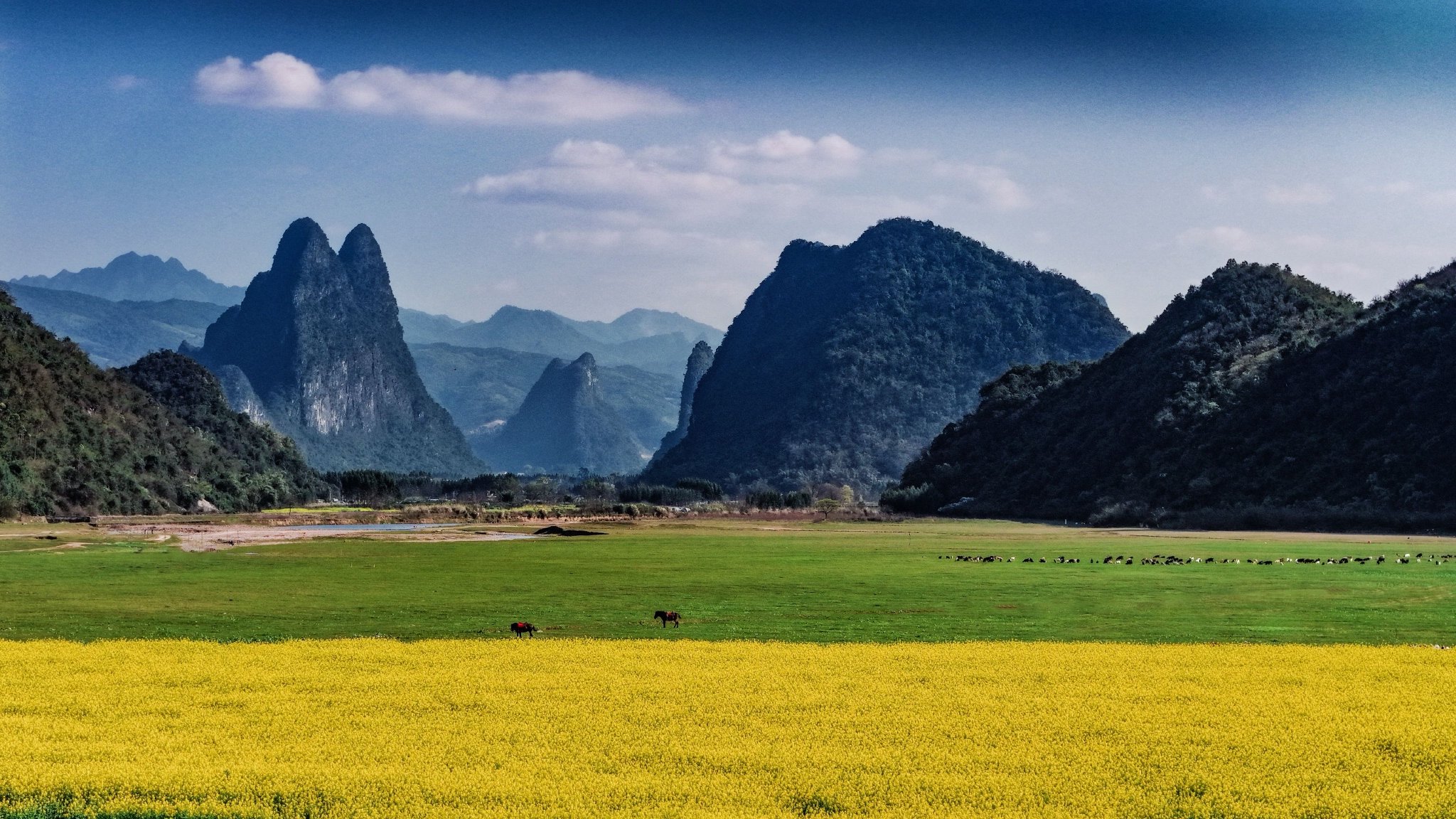 仲春初四日 春色正中分