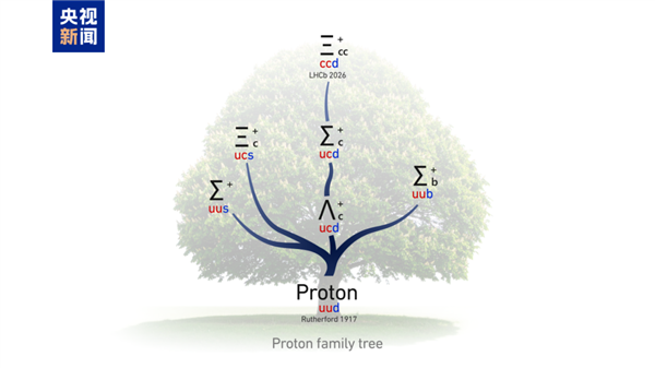 ▲质子家族示意图