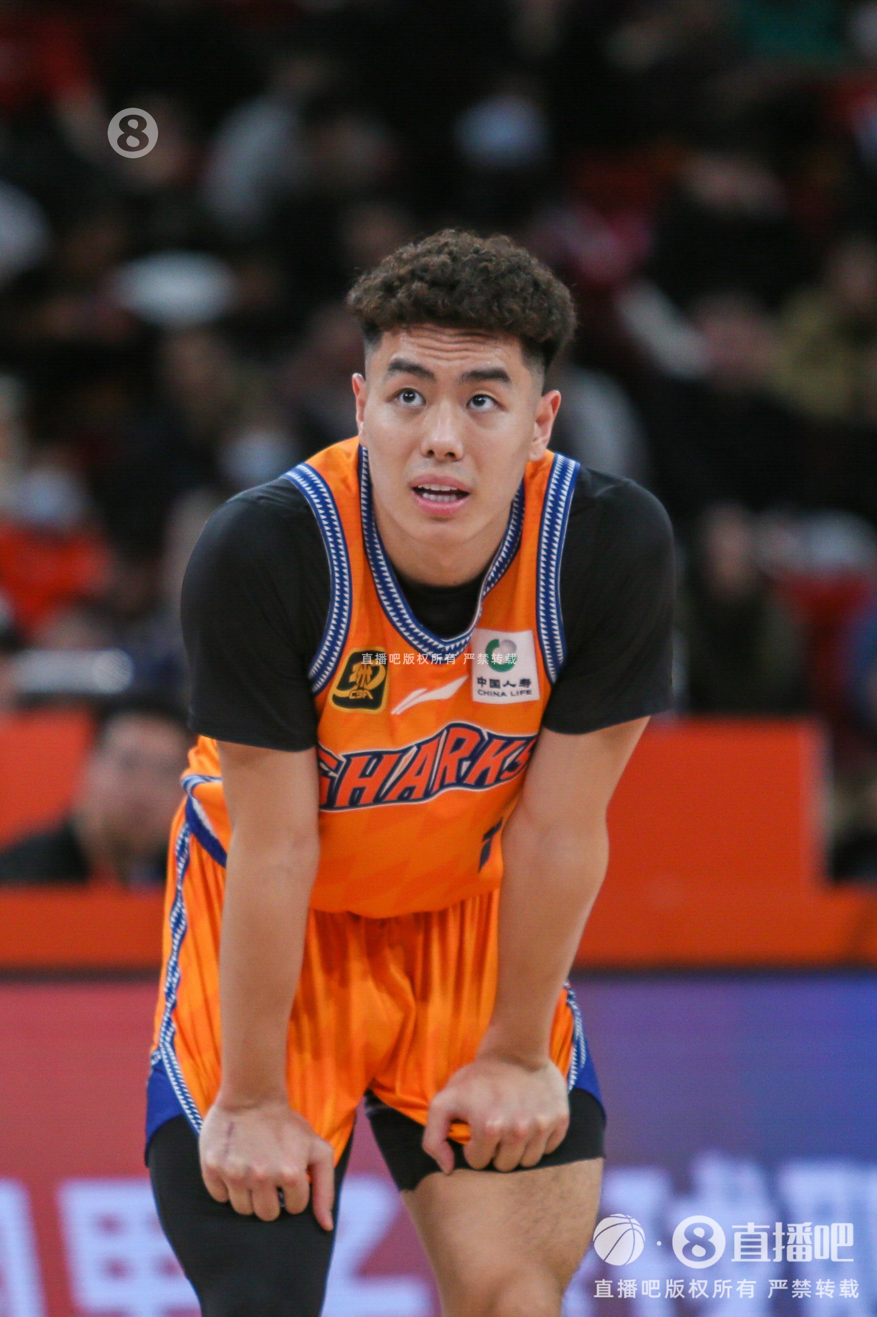 效率惊人！李添荣最近4场场均14分 投篮命中率75% 三分62.5%