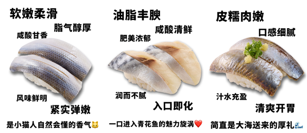 经典银身鱼们：小肌鱼、鲭鱼、沙丁鱼（从左往右），图片来源于网络