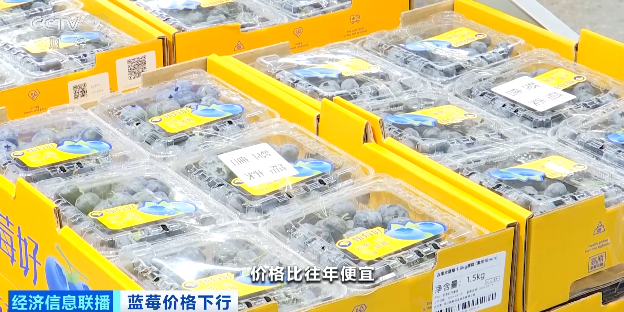 抖音点赞业务，24小时下单网站，秒到账？揭秘高效点赞服务！