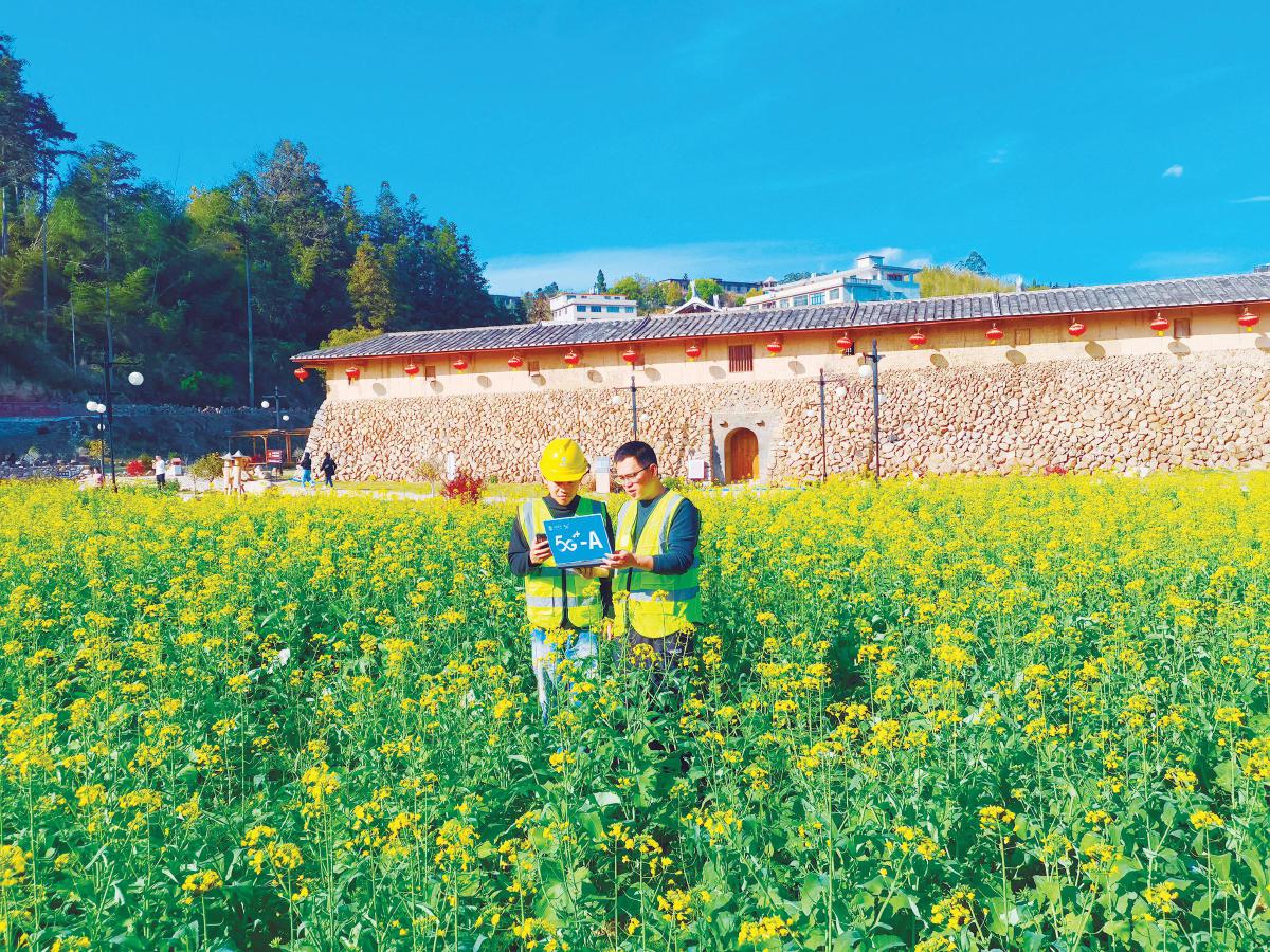 移动满格信号护航春色芳华