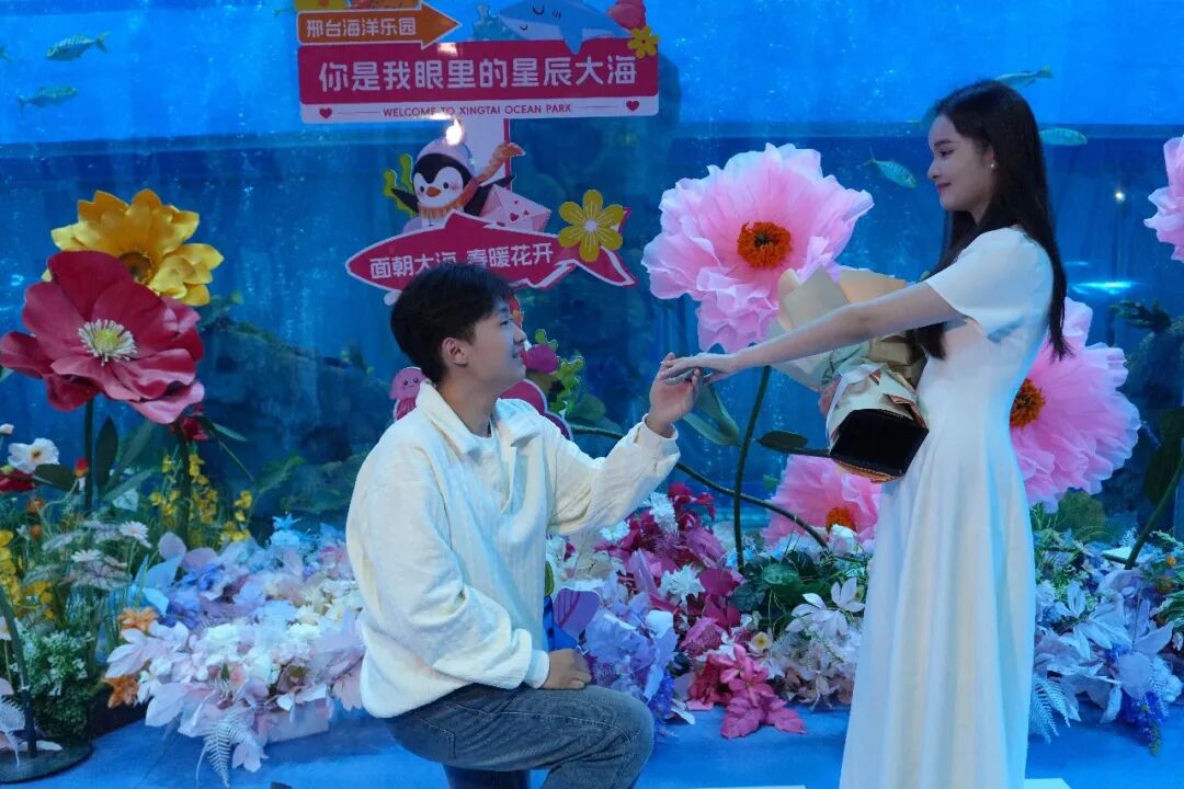 ��̨������԰�ĺ���������顣����ͼƬ