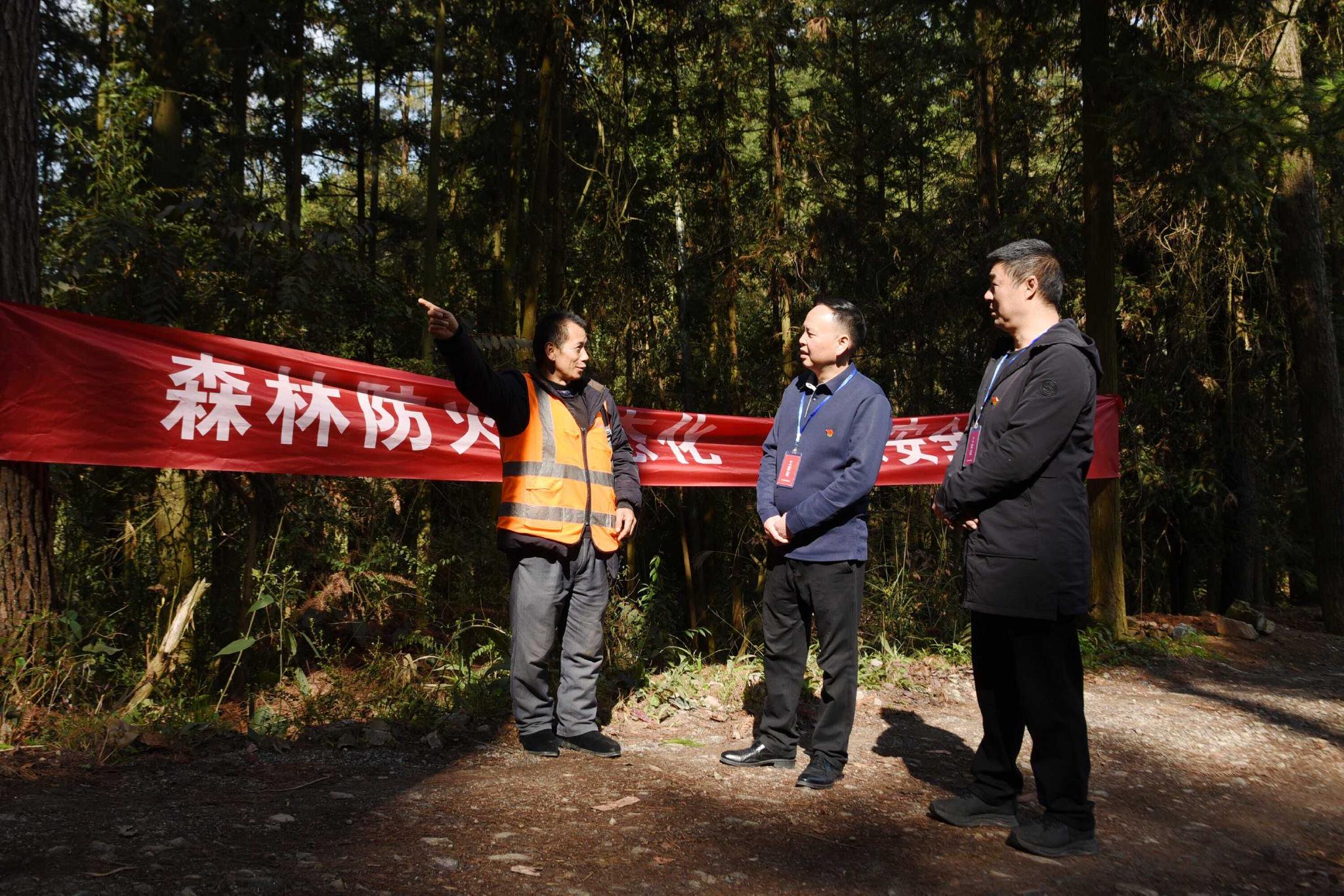 镜头丨守护森林，你我同行
