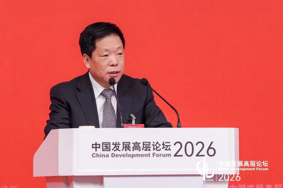 中央财经委员会办公室分管日常工作的副主任、中央农村工作领导小组办公室主任韩文秀现场发言，官方供图