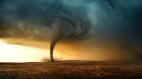 责任编辑：若风