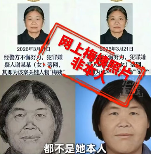 警方：暂不公布“梅姨”照片_新浪财经_新浪网