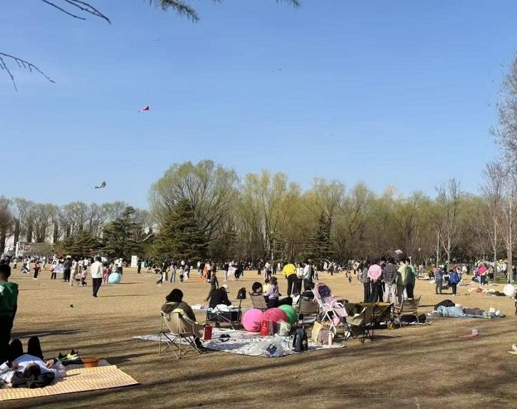 ����ͼΪ������԰���ο���֯��