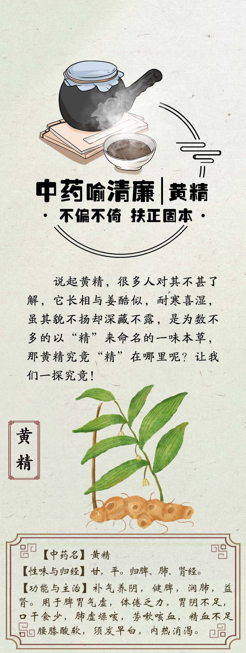 中药喻清廉丨黄精：不偏不倚 扶正固本