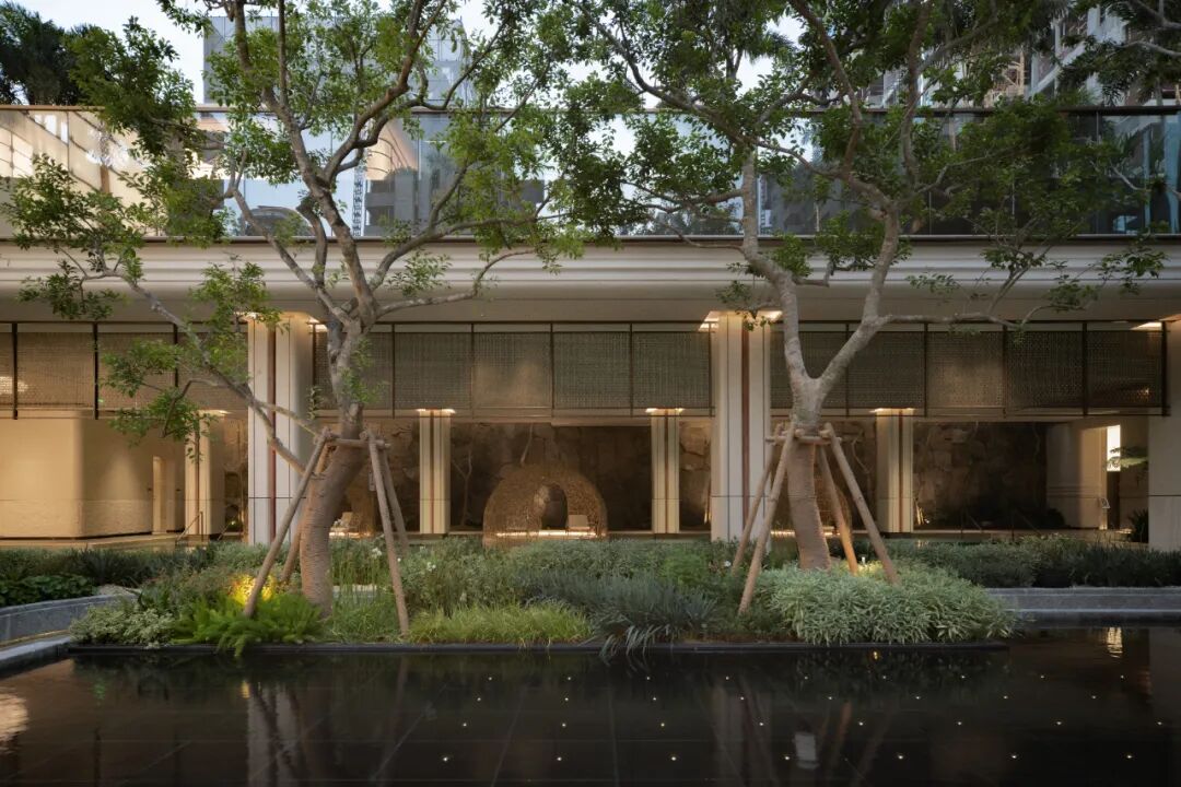 ▲泉涌旁的林下空间如同一座座漂浮的岛屿 尽显海岛魅力