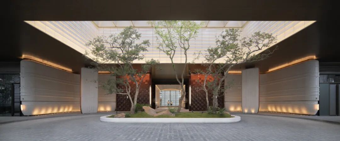 ▲门庭内三株铁冬青 拉开度假的序幕