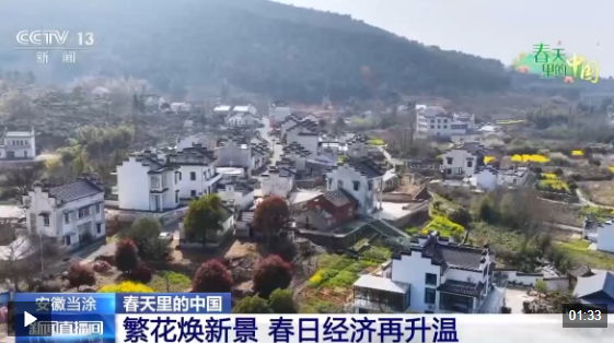视频丨梯田美景、农家民宿……各地花海美景激活春日经济