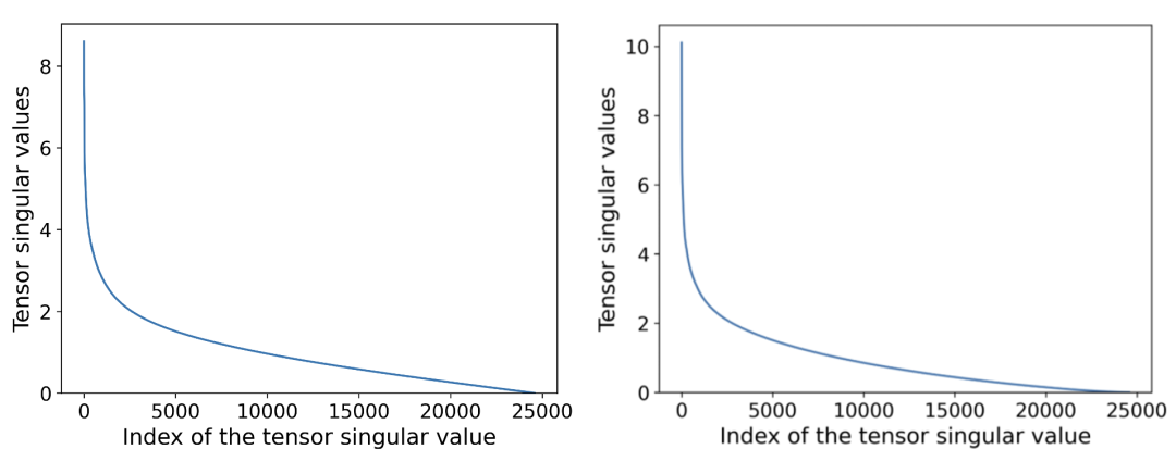 图 1：左—DCT（离散余弦变换）域下的张量奇异值分布 ；右—基于 LSM-3（权重张量经 mode-3 展开后的左奇异矩阵）的奇异值分布。可以观察到，大部分能量集中在少数主成分上。