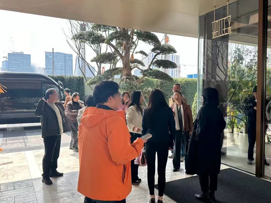 dy在线人气24小时自助平台，揭秘热门直播的秘密？