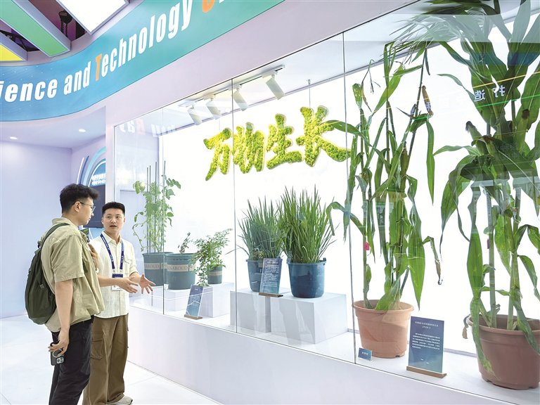 现场评丨小小种子 无限生机