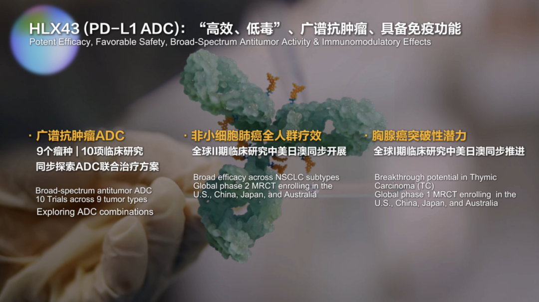 ▲复宏汉霖的HLX43在非小细胞肺癌、妇科肿瘤、食管鳞癌等多个领域展现出“高效、低毒”的显著优势。