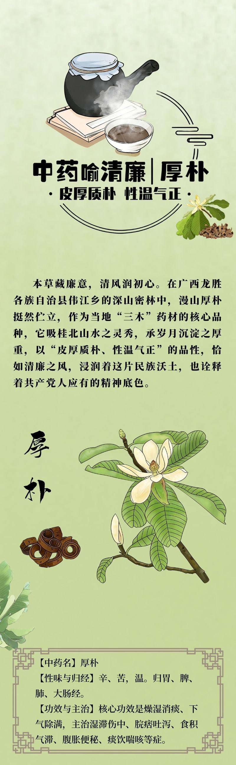 中药喻清廉丨厚朴：皮厚质朴 性温气正