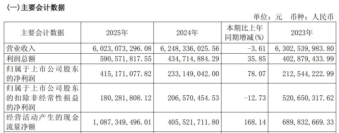 图片来源：大众公用2025年年度报告