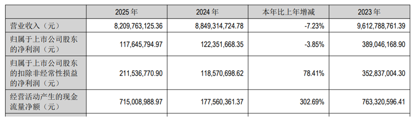 图片开始：公司2025年度功绩说明