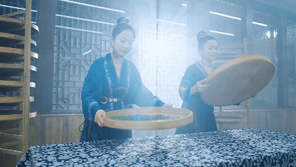 游客正在体验制茶工艺（央广网发  邓仁湘  摄）