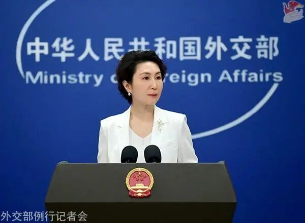 毛宁府上图。图源：酬酢部网站