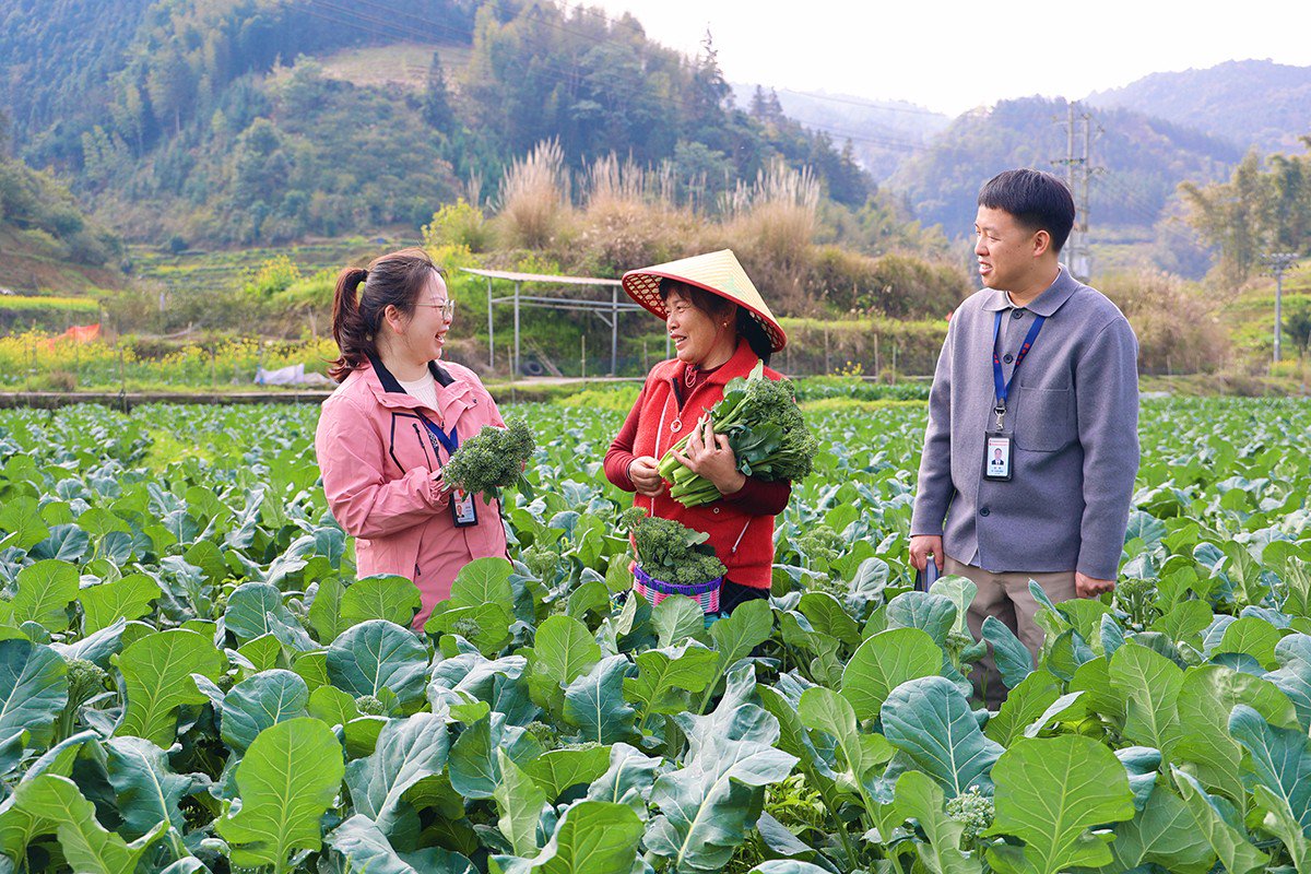 图片新闻-广西纪检监察网