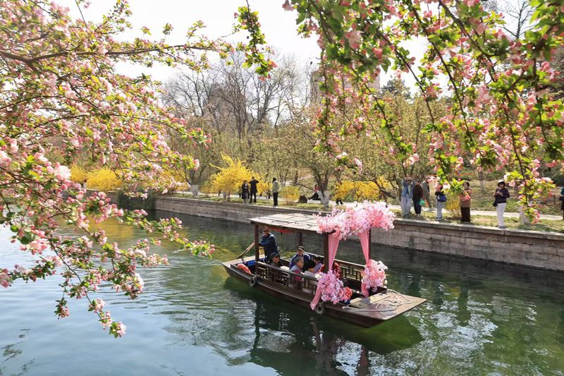 春满京城 | 元大都摇橹船开船,海棠花溪赏花正当时_新浪财经_新浪网
