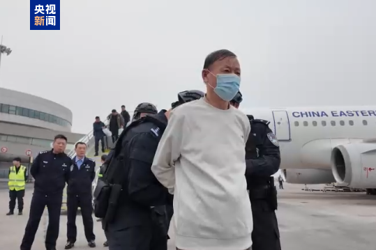 骗取贷款1.04亿元 犯罪嫌疑人王某某被押解回国