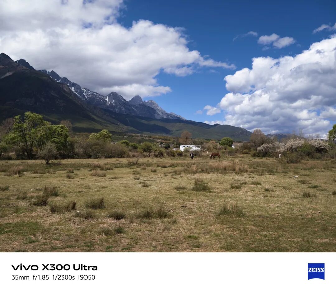 vivo X300 Ultra 85mm 长焦样张｜图片来源：极客公园