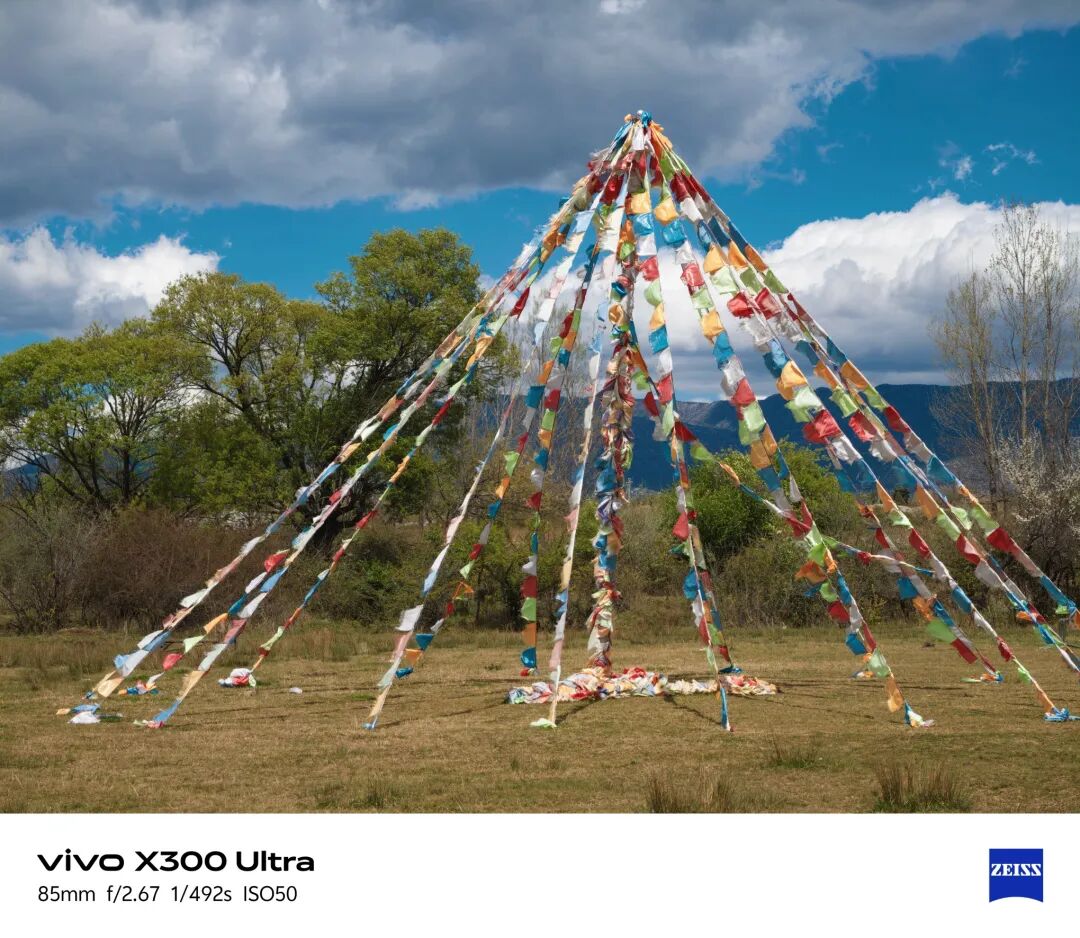 vivo X300 Ultra 85mm 长焦样张｜图片来源：极客公园