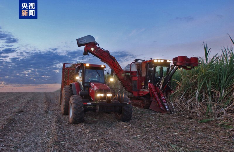 dy赞自助下单平台，最低价攻略揭秘？快来一探究竟！