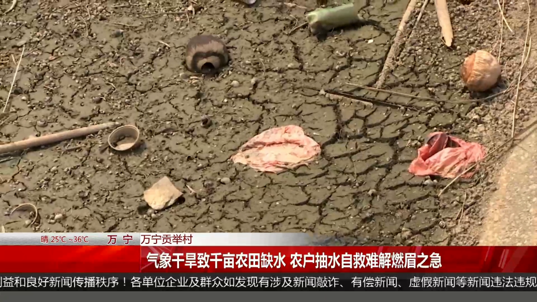 “救命”水来了!万宁持续干旱,数千亩瓜菜面临枯萎绝收风险|万宁市|海南省|农户|水库|灌溉_手机新浪网