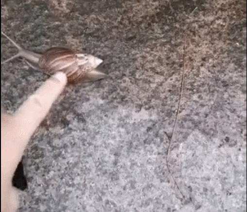 图源：深圳大件事