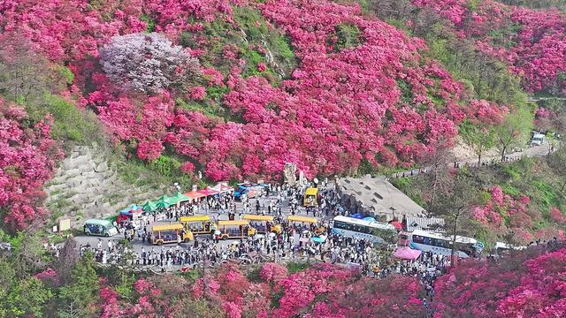 �人�л���������ɽ������������������֯ ����ʡ�Ļ�����������ͼ