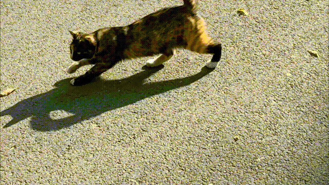 图源：生命时报