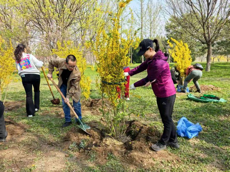 四月第一周,70余万市民参加首都义务植树日活动|植树_新浪财经_新浪网